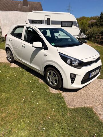 Gebrauchte Kia Picanto